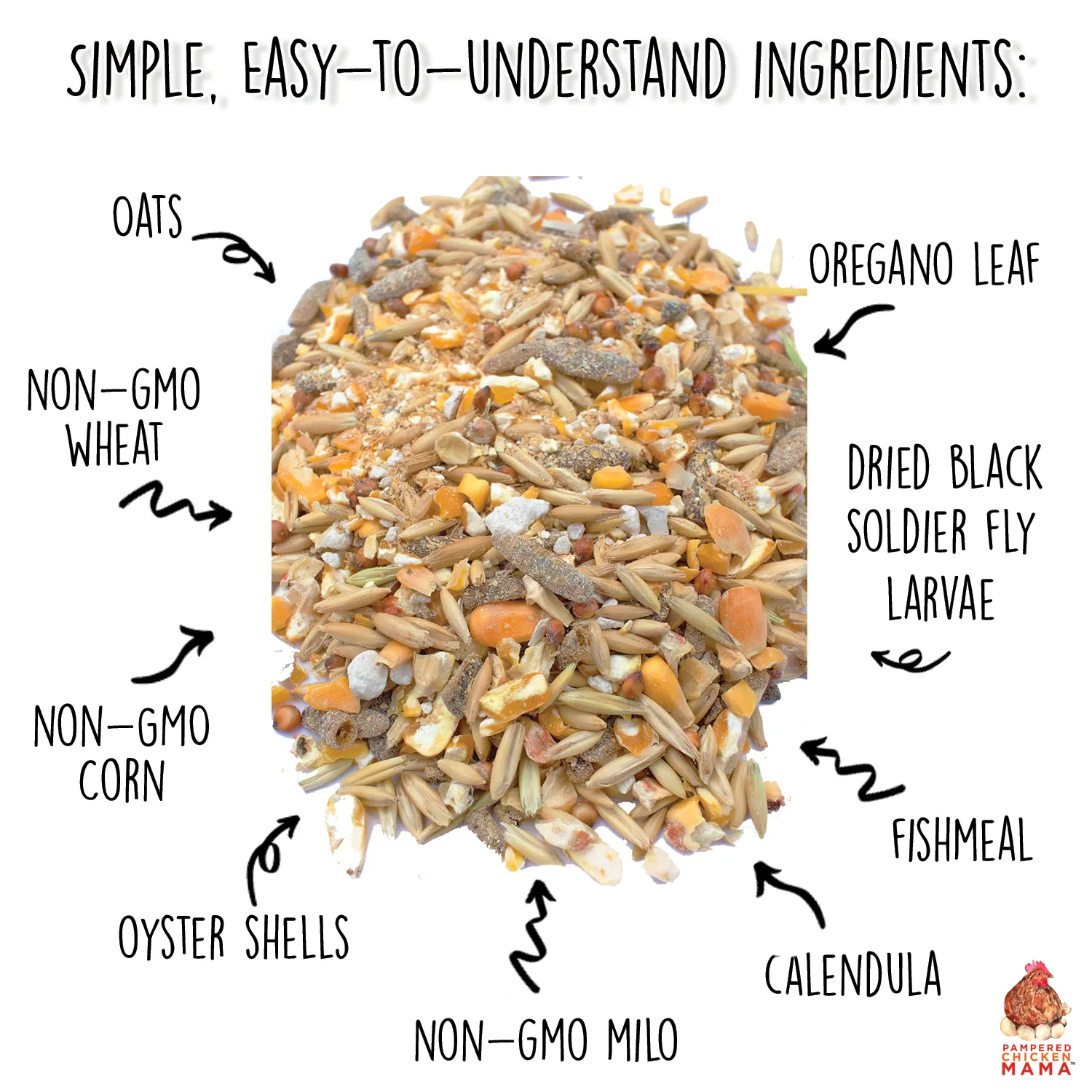 16% Premium Layer Feed With Black Soldier Fly Larvae, Fishmeal, & Herbs {Soy Free   High Protein}: 40 pounds