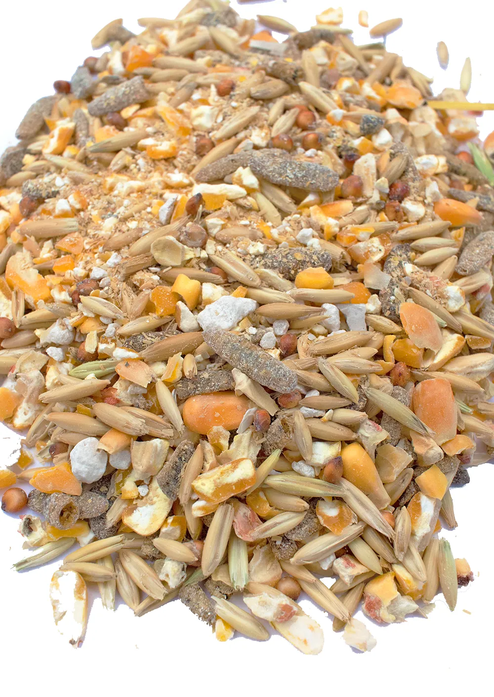 16% Premium Layer Feed With Black Soldier Fly Larvae, Fishmeal, & Herbs {Soy Free   High Protein}: 40 pounds