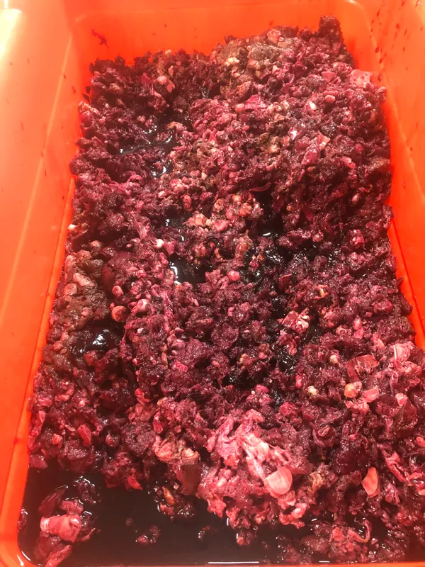 Beef Heart, Whole or Ground