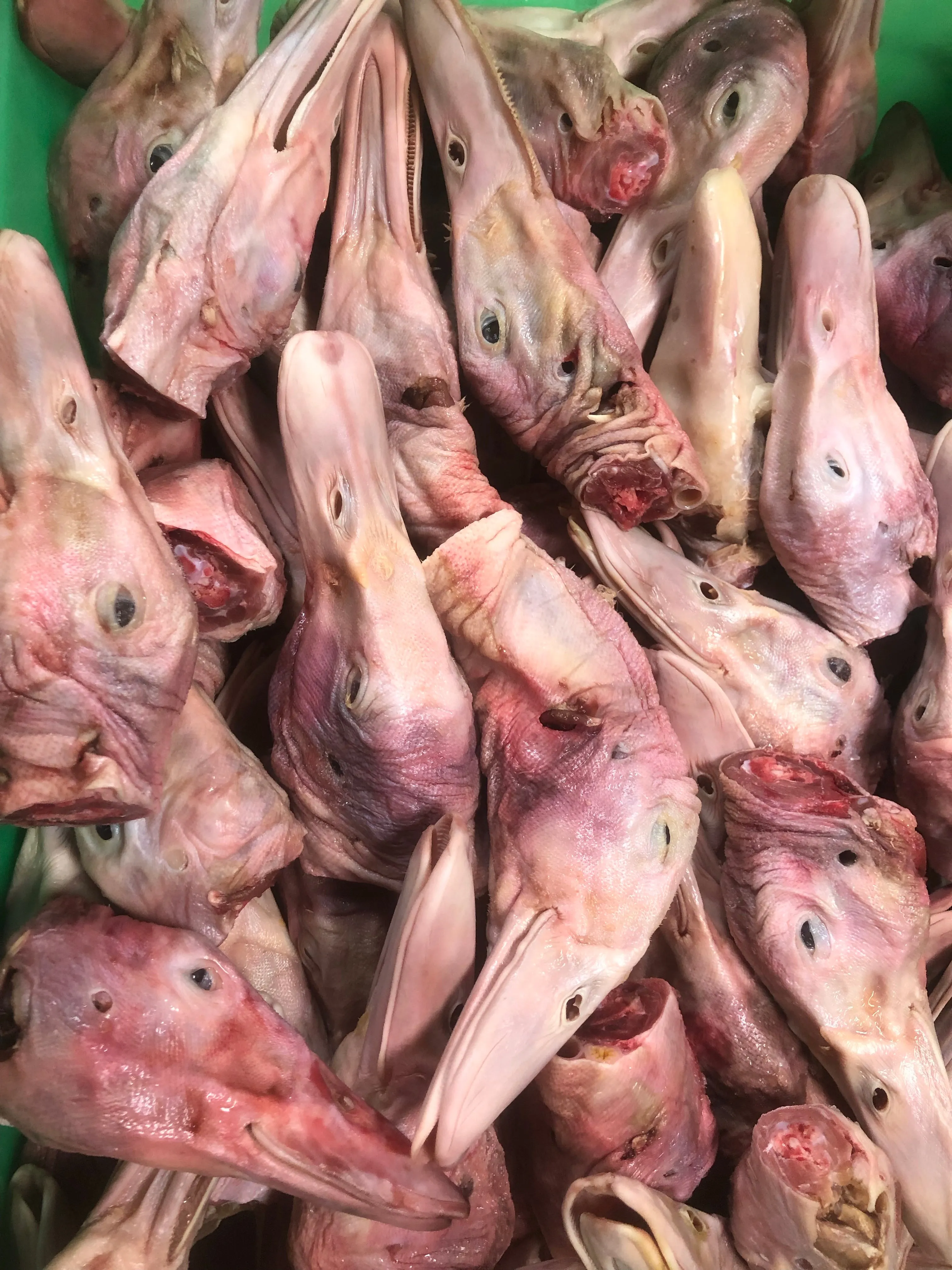Duck Heads, Whole Raw