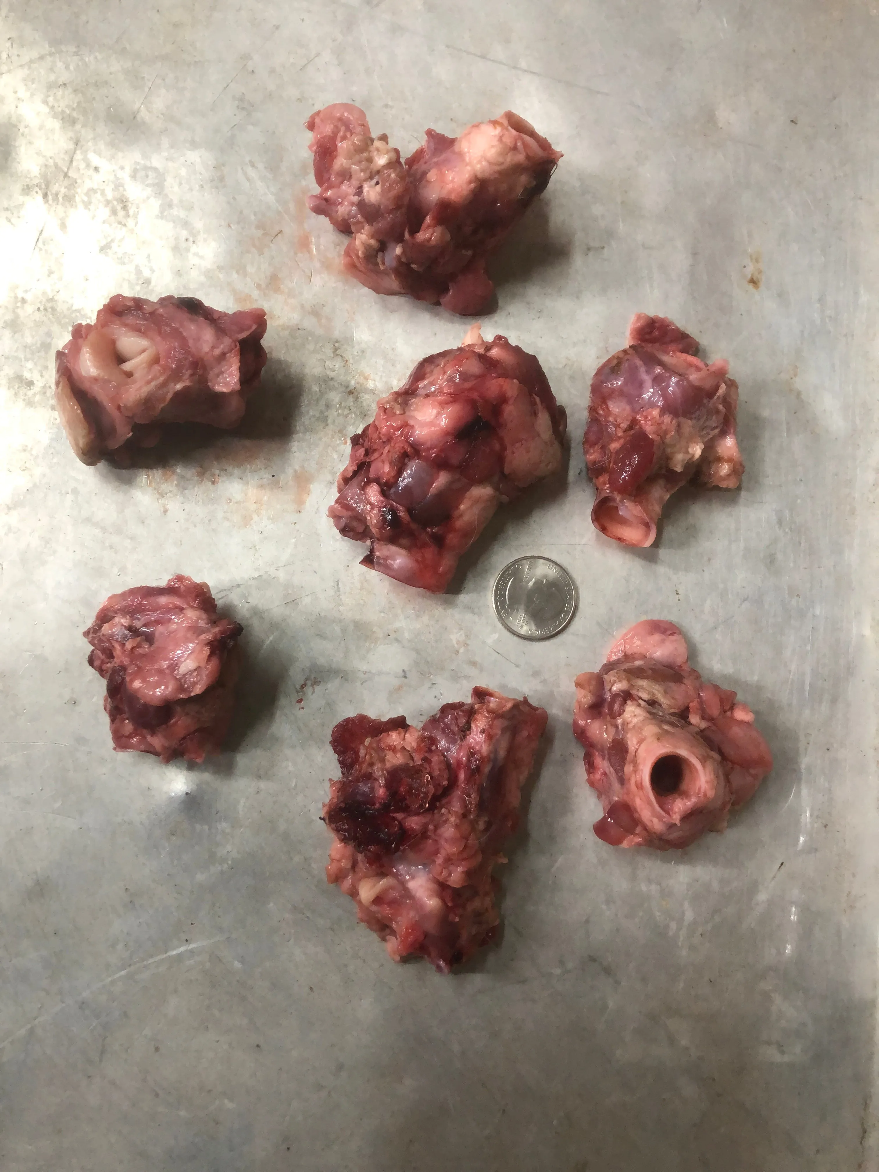 Goat Gullet, Whole, Raw