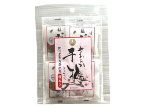 Nagaikiyashoten Soft Dried Plum Seedless