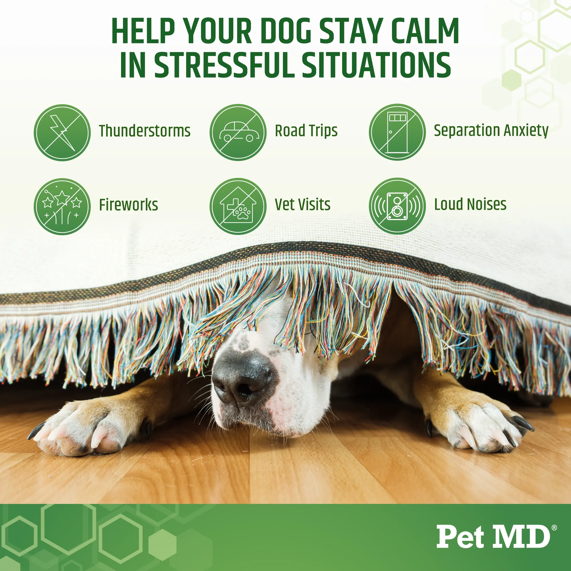 Pet MD Calming Hemp Soft Chews with Hemp Seed, Chamomile, L-Tryptophan, and Melatonin for Dogs - 120 Count