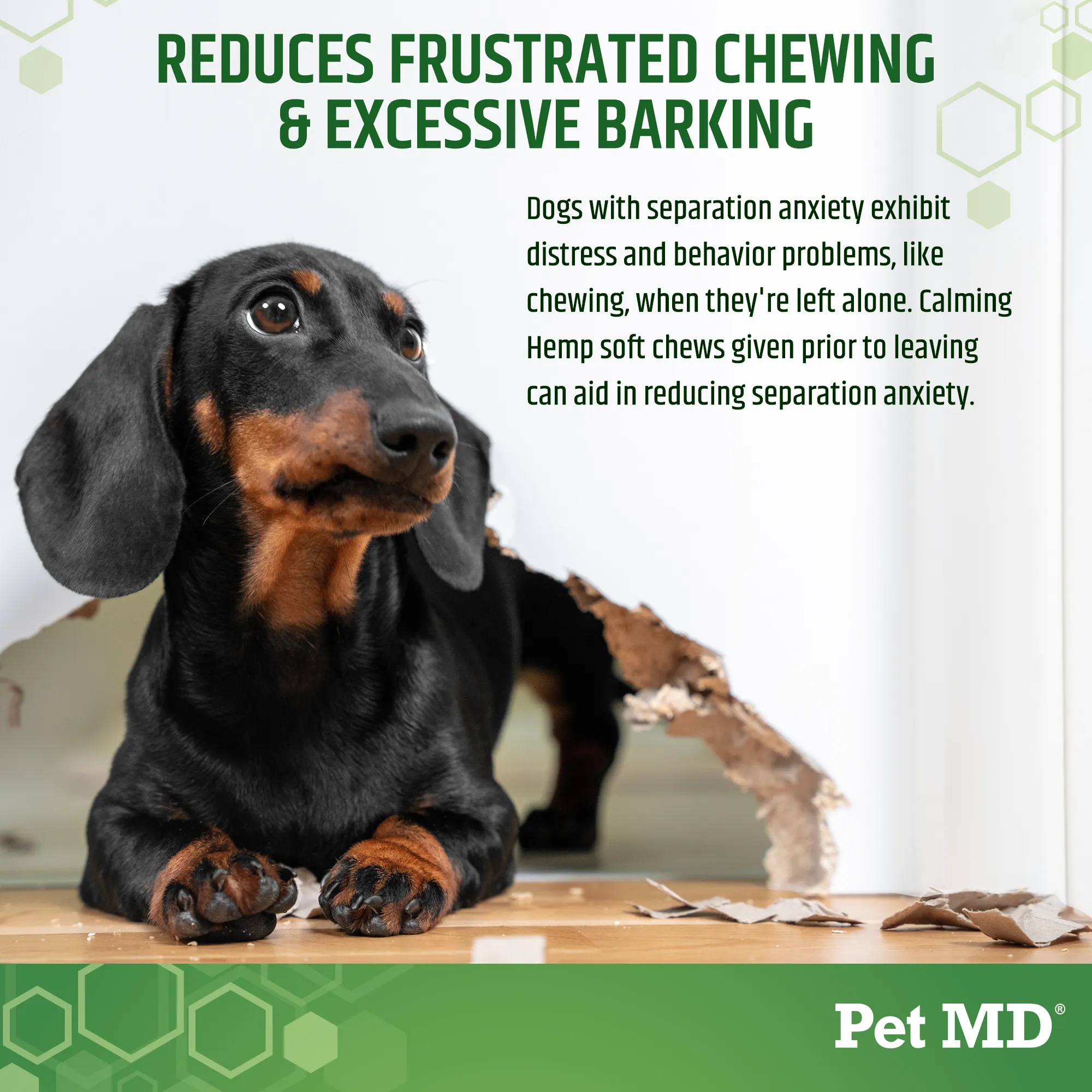 Pet MD Calming Hemp Soft Chews with Hemp Seed, Chamomile, L-Tryptophan, and Melatonin for Dogs - 120 Count