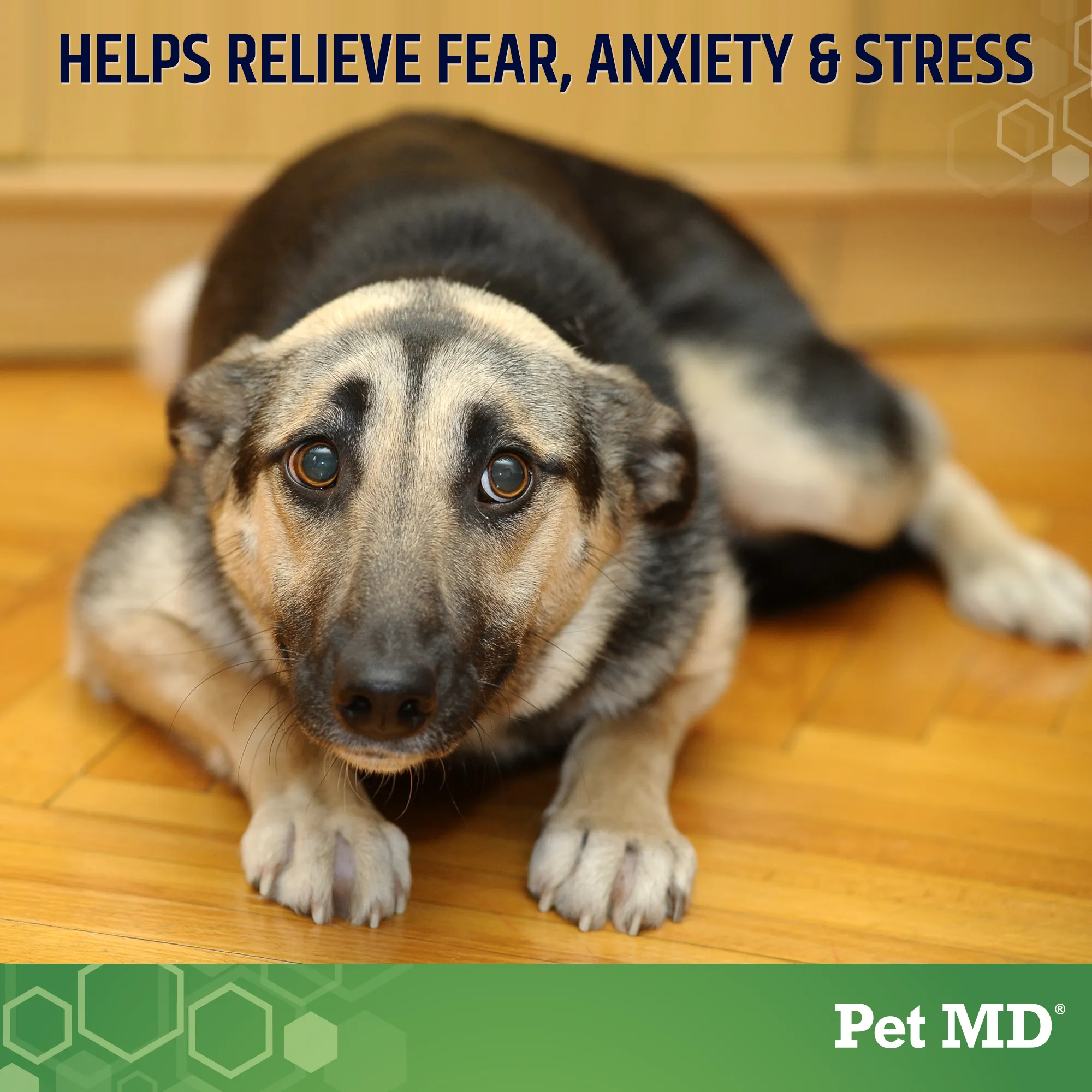 Pet MD Calming Hemp Soft Chews with Hemp Seed, Chamomile, L-Tryptophan, and Melatonin for Dogs - 120 Count