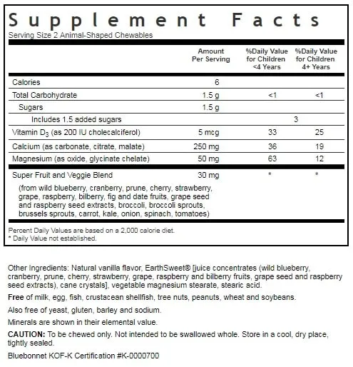 SUPER EARTH RAINFOREST ANIMALZ CALCIUM MAGNESIUM VITAMIN D3 ANIMAL-SHAPED, 90 CHEWS